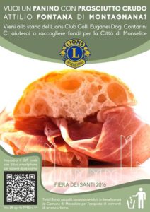 Centenario Lions Colli Euganei Monselice Panini