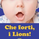 cheforti.