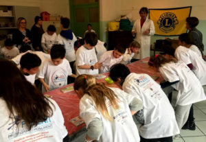 lions missione agenti pulenti