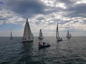 daunia cup lions 2019