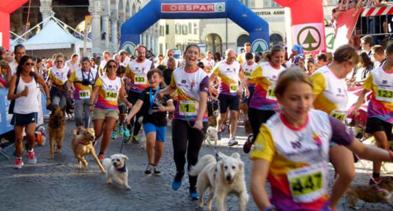 lions udine maratona