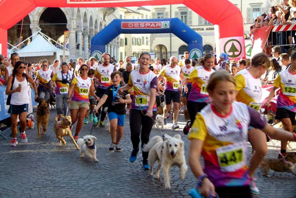 lions udine maratona