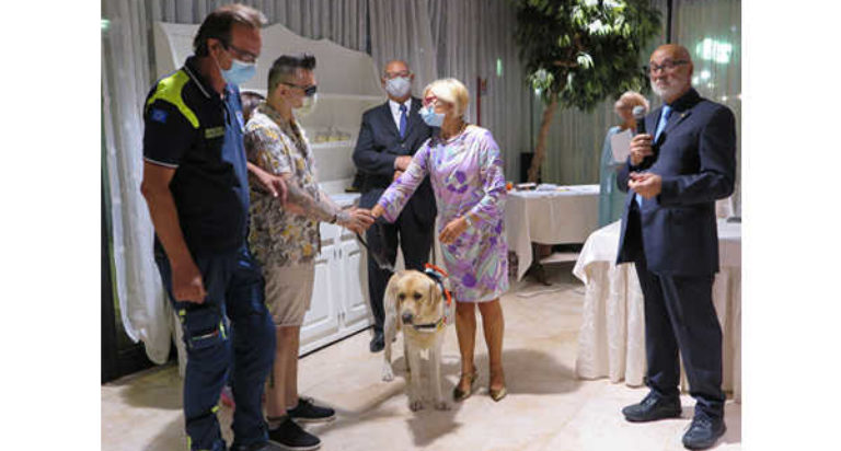 cani guida lions